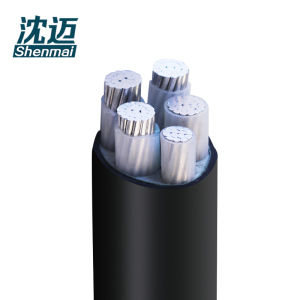 沈迈 铝芯电缆 ZC-YJLV-0.6/1KV-4*50+1*25mm²/米