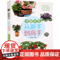 [3本39]家庭养花从新手到高手 实用家庭养花大全集一本通实用宝典零基础学养花野花花卉鉴赏图鉴书籍