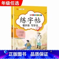 练字帖 二年级上 [正版]汉之简小学语文句子训练生字组词造句近义词反义词形近字多音字同音字仿写扩充扩展同步专项练全人