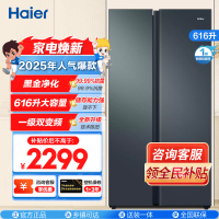 海尔(Haier)616升对开门超薄嵌入冰箱 鲸式储量 黑金净化 双变频一级能效 BCD-616WGHSSEDC9