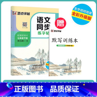 [语文描红]七年级下册(送默写训练本) 七年级/初中一年级 [正版]七年级上册语文字帖练字小学生硬笔书法字帖一课一练墨点
