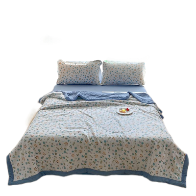 缎暮 A类纯棉印花新疆棉花被空调夏被舒睡夏凉被 多款可选 200*230CM/3.2斤 条