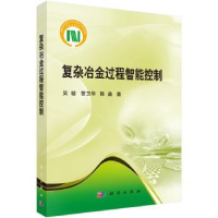 音像复杂冶金过程智能控制吴敏
