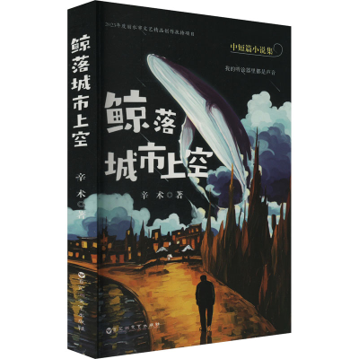 正版新书]鲸落城市上空辛术 著9787550035829