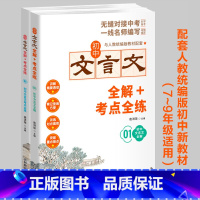 初中文言文全解+考点全练(全2册) 初中通用 [正版]初中文言文全解+考点全练 套装2册 名师译注对接中考初中同步文言文