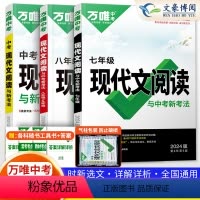 [现代文+文言文]2本套装 九年级 [正版]2024新初中现代文阅读三阶训练语文专项训练 七八九年级阅读理解初三课外组合