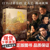 护宝寻踪 同名考古与文物保护题材电视剧央视黄金档爱奇艺腾讯视频燃情播出 白宇帆辛柏青王鹤润富大龙尤勇智 影视小说原著