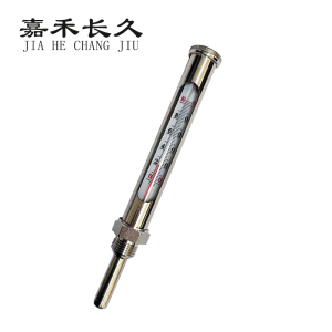 嘉禾长久 温度计(棒式)100度 杆长50MM 个