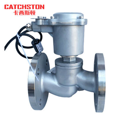 卡西斯顿 蒸汽电磁阀 防爆型DN15 个