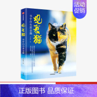 [正版]观复猫 书中自有黄金猫 马未都著 猫馆长与你讲故事说文化涨知识 中国古籍中的神秘猫文化+观复猫的软萌日常 出版