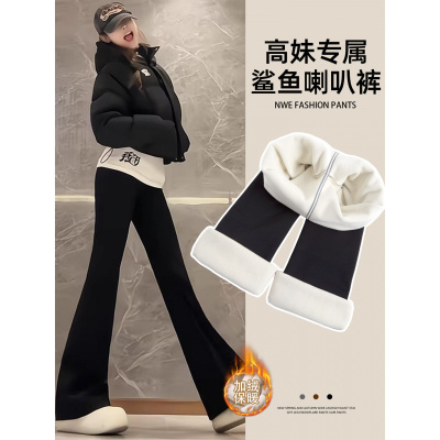 加绒喇叭鲨鱼裤女外穿秋冬羊羔绒加厚保暖棉裤瑜伽冬季微喇打底裤