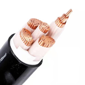 三信 铜芯电力电缆ZC-YJV4×4 米