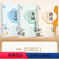 [楷书]3本 唐诗+宋词+古诗词 [正版] 楷书行楷字帖练字成年男女生唐诗三百首描红钢笔练字帖成人学生正楷硬笔字帖宋词美