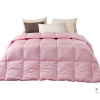 安居先森经典风尚羽绒纤维被冬被单人150*200cm 1900g D2082(条)
