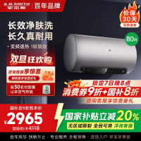 AO史密斯电热水器80升 国家补贴 80吨长效净水洗 免清洗 3kW变频速热 金圭特护 E80ED6