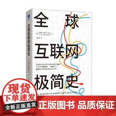 全球互联网极简史 克里斯·斯托克尔-沃克 著 看互联网如何席卷全球 未来又将如何改变世界 管理