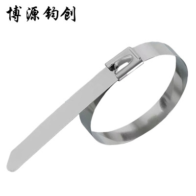 博源钧创 304不锈钢扎带 4.6*1200MM 根