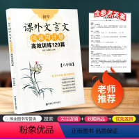 [正版]初中课外文言文阅读周计划 高效训练120篇 八年级/8年级上册下册通用版 初二课外阅读精典选文分类技法指导语文