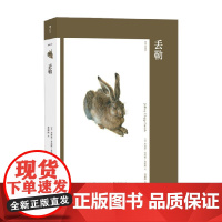 丢勒 艺术与观念 13 杰弗里·奇普斯·史密斯 著 北方文艺复兴 油画水彩画肖像画素描绘画 人文主义 艺术