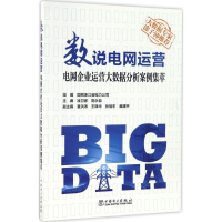 正版新书]数说电网运营:电网企业运营大数据分析案例集萃凌卫家