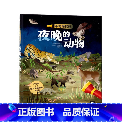 手电筒探秘 夜晚的动物 [正版]手电筒探秘 夜晚的动物 2-3-4-6岁儿童科普认知百科读物 宝宝启蒙益智 幼儿园幼儿早