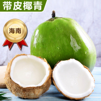 [熊猫鸟]海南椰青带皮 4个装 新鲜椰子 当季热带水果 汁水充沛