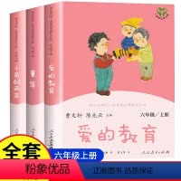 全3册[人民教育出版社]六年级上册读书吧 [正版]人民教育出版社快乐读书吧六年级上册人教版全套3册童年爱的教育小英雄雨来
