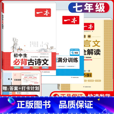 国一[人教版]数学计算+文言文解读+古诗文 初中通用 [正版]2024版初中数学计算题满分训练国一八年级九年级中考人教版