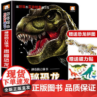 揭秘恐龙立体翻翻书儿童3d立体书触摸洞洞机关拉拉益智玩具0-3岁书籍大百科全书科普幼儿小学生宝宝故事玩具硬壳折叠早教磁力