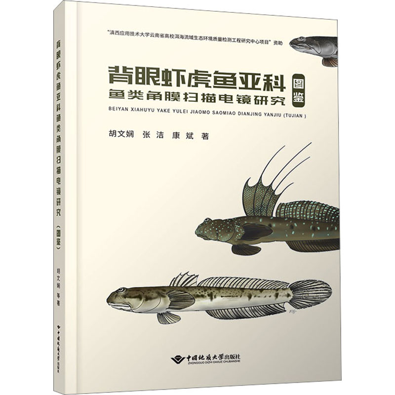 背眼虾虎鱼亚科鱼类角膜扫描电镜研究(图鉴)