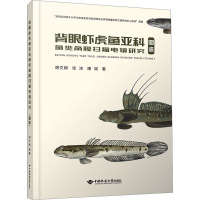 背眼虾虎鱼亚科鱼类角膜扫描电镜研究(图鉴)