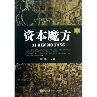 正版新书]资本魔方陈一夫9787510821059