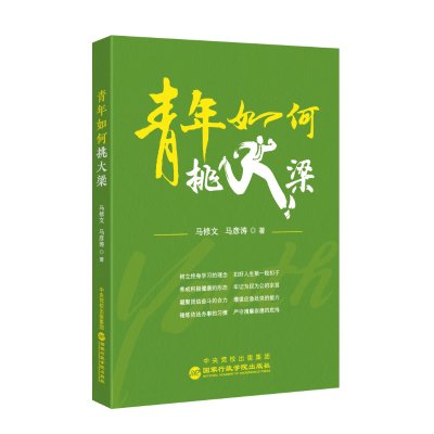 正版新书]青年如何挑大梁马修文 马彦涛 著9787515029511
