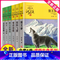 [正版]动物小说大王沈石溪品藏书系全套第七条猎狗斑羚飞渡再被狐狸骗一次雪豹悲歌狼王梦后一头战象浙江少年儿童出版社四年级