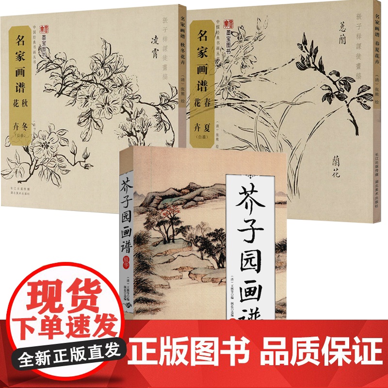[3册]芥子园画谱精华+中国经典书画丛书:名家画谱(秋冬花卉 白描)+(春夏花卉 白描)书籍