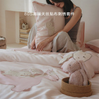 80支兰精天丝四件套a类大版绣花刺绣凉感夏季冰丝三件套儿童床品