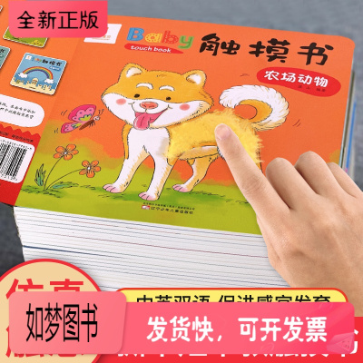 正版新书-全套3册Baby触摸书适合1一2-3岁半宝宝看的撕不烂早教安静触感玩具书本幼儿0到两三周岁婴儿认知翻翻绘本儿