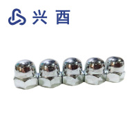 兴酉 不锈钢盖型螺母 M10 个