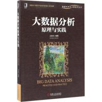 正版新书]大数据分析原理与实践王宏志9787111569435