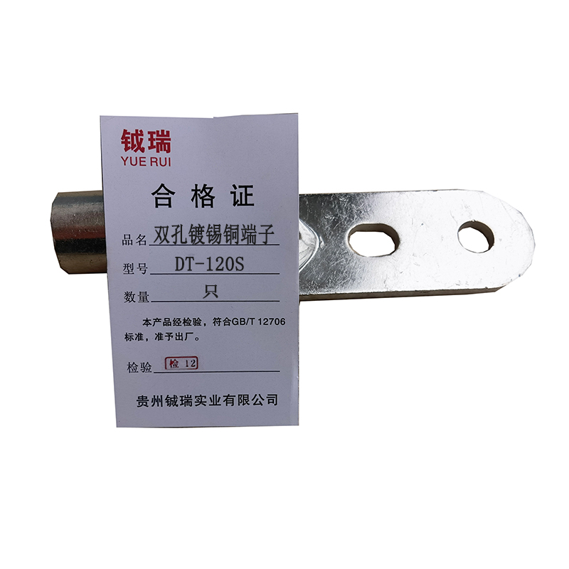 钺瑞双孔镀锡铜端子DT-120S/只