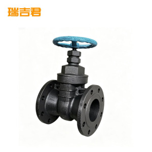 瑞吉君 铁闸阀 DN65(长18.2CM)个