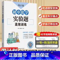 化学实验题高效训练 初中通用 [正版]周计划初中化学推断流程题高效训练初中初一初二初三中考七八九年级789初中化学实验题