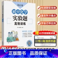 化学实验题高效训练 初中通用 [正版]周计划初中化学推断流程题高效训练初中初一初二初三中考七八九年级789初中化学实验题