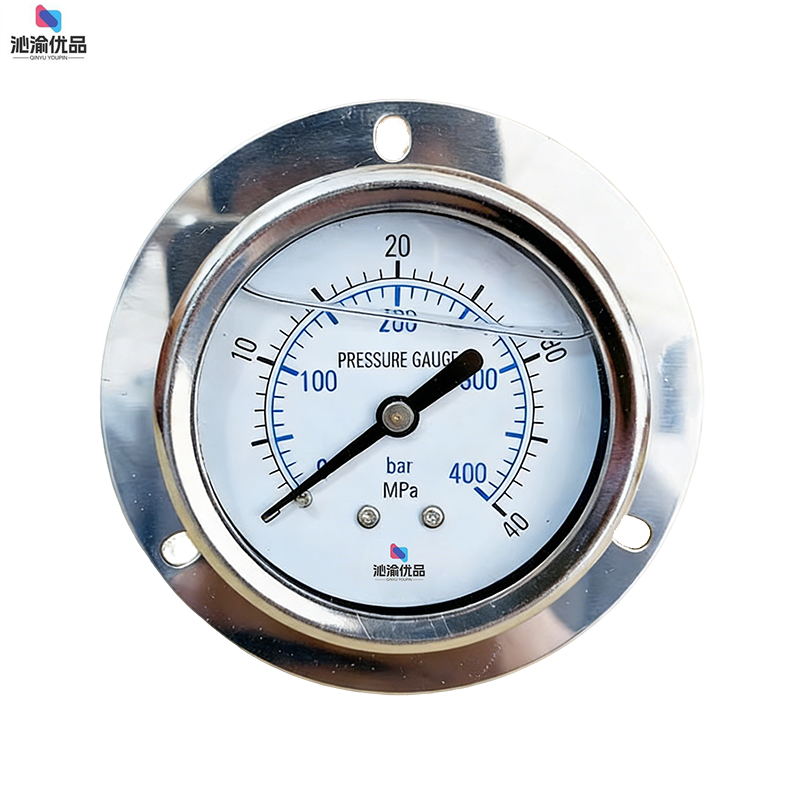 沁渝优品 压力表 Y-100Z 个