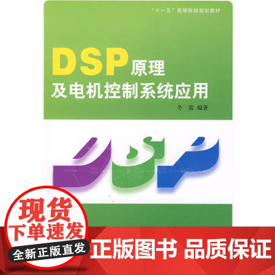 DSP原理及电机控制系统应用