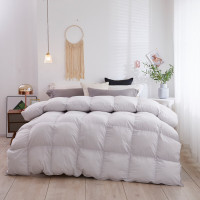 鹰利谨 白鸭绒羽绒子母被抗静电防钻绒羽绒被含鸭绒90% 200*230cm