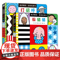 我好聪明宝宝玩具书 共2册 0-2岁 乔·洛奇 著 玩具书