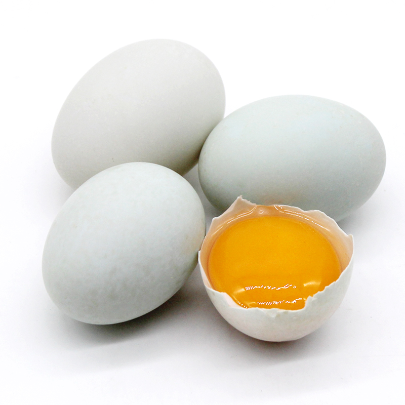 [西沛生鲜]新鲜生鸭蛋 10枚 70-80g/个 农家散养新鲜正宗土鸭子蛋