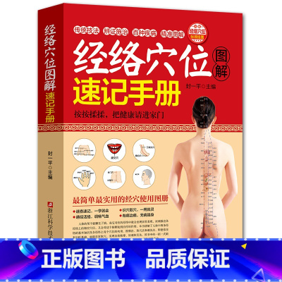 [正版]经络穴位图解速记手册(赠挂图) 人体经络穴位图解书 中医穴位按摩书 经络穴位按摩大全家用养生书籍 穴位书籍