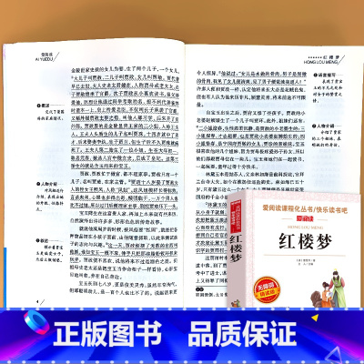 五年级下册 爱阅读红楼梦 [正版]小学生语文课外阅读的书籍全套二三四五六年级上册下册稻草人安徒生格林童话小英雄雨来四大名